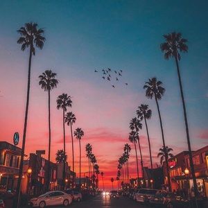 Meet your Posher, Aallison